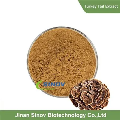 유기농 칠면조 꼬리 추출물