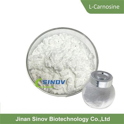 분말 L- 카르노신
