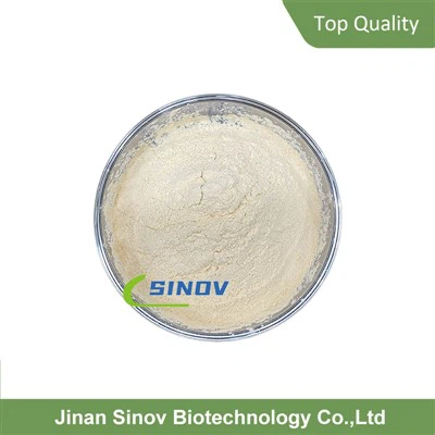 탁시 폴린 분말 디 하이드로 퀴르 세틴