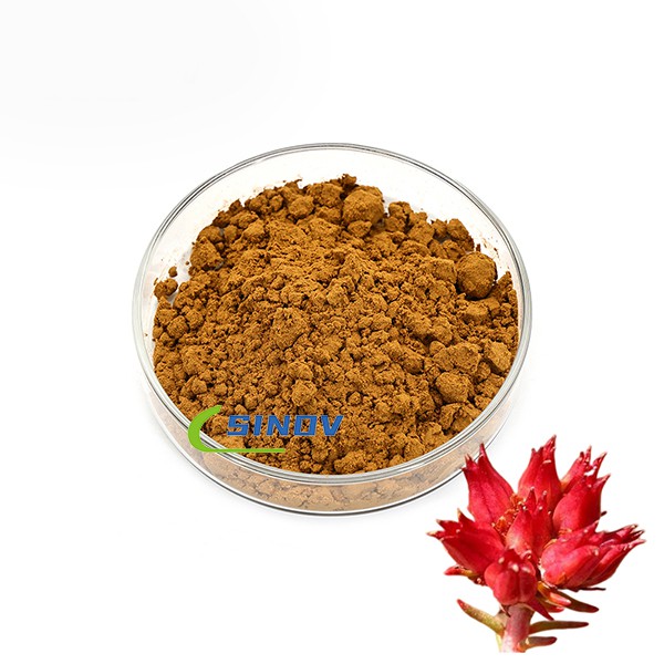 Rhodiola Rosea 추출물 Salidroside